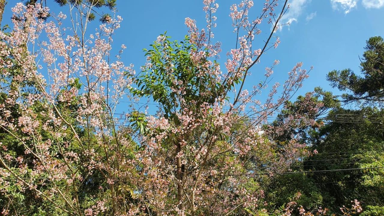 Pousada Toque De Minas Visconde De Maua Exterior foto